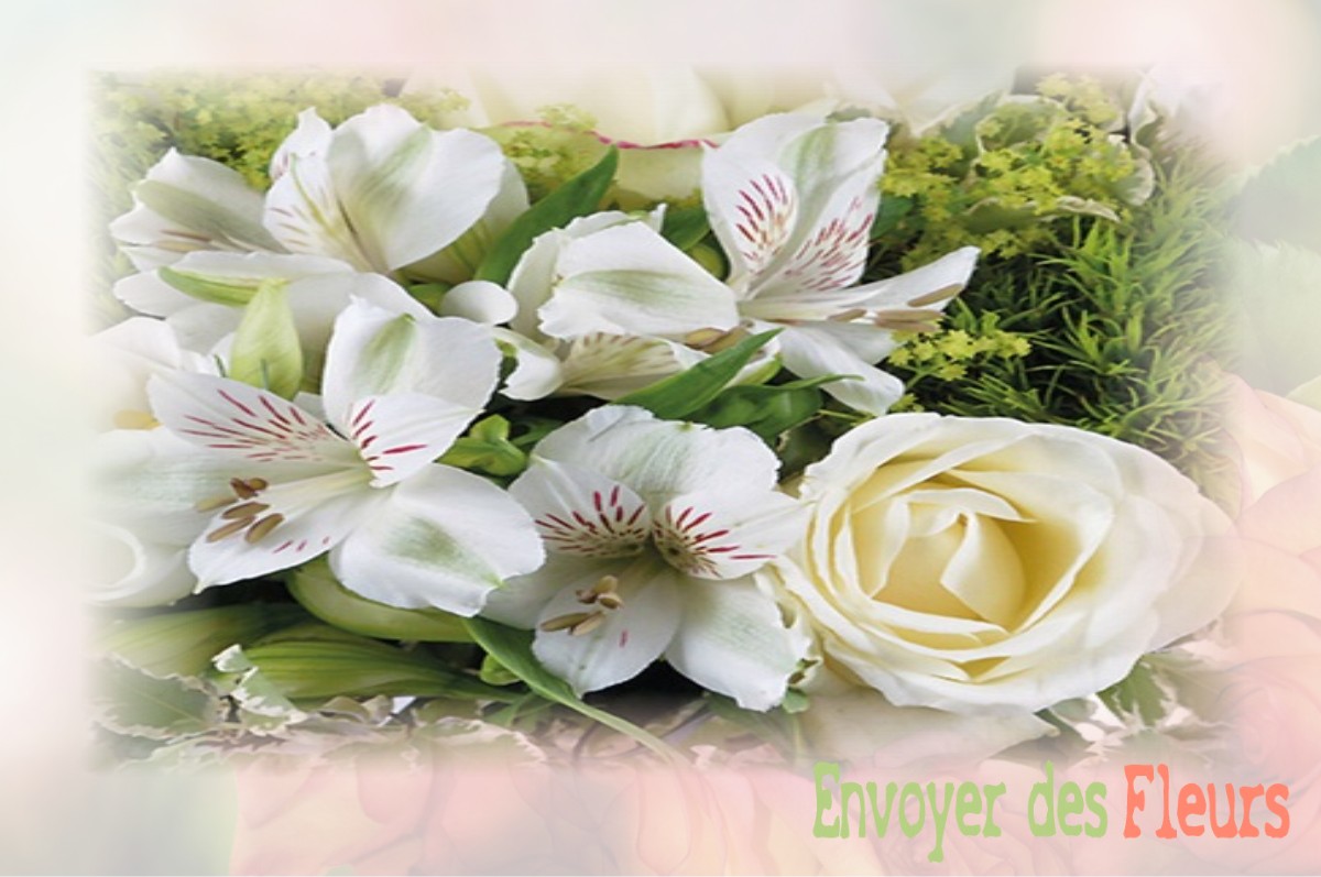 envoyer des fleurs à à SAINT-JEAN-DE-GONVILLE
